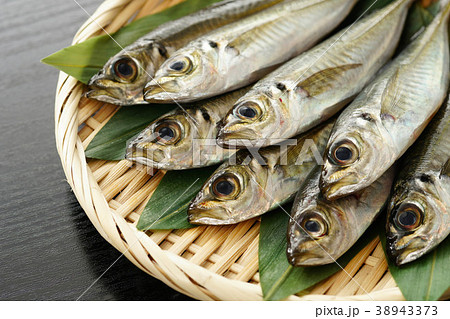 小アジ 小アジ 38943373