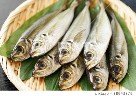 小アジ 小アジ 38943379