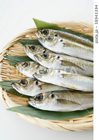 小アジ 小アジ 38943394