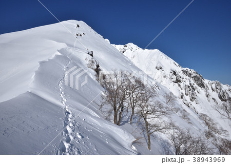 春の雪山 谷川岳山頂へと続く西黒尾根とマチガ沢 春の雪山 谷川岳山頂へと続く西黒尾根とマチガ沢 38943969