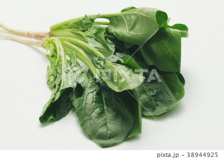 ほうれん草 38944925
