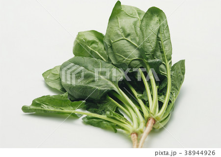 ほうれん草 38944926