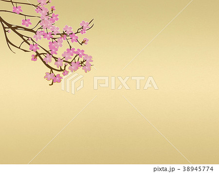 金屏風 桜のイラスト素材