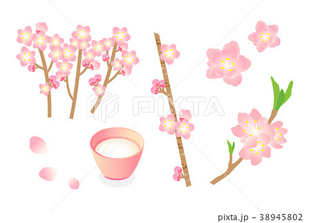 桃の花 38945802