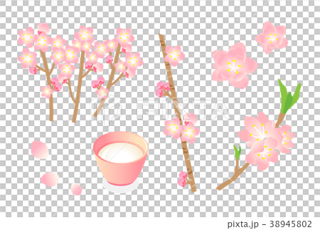 桃の花 38945802