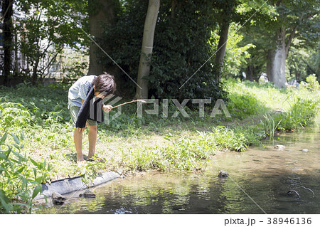 小学生シリーズ　ザリガニ釣り 38946136