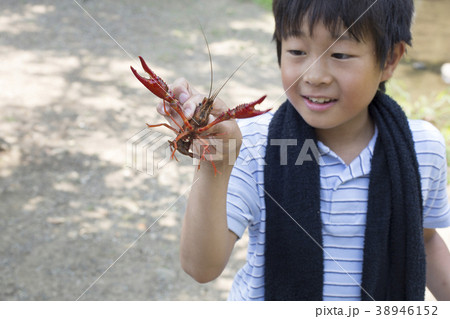 小学生シリーズ　ザリガニ釣り 38946152