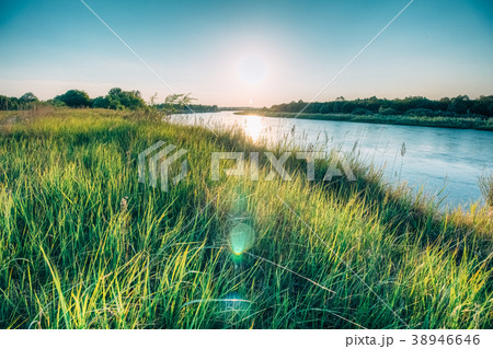 Summer landscape on the river bank at sunset 38946646