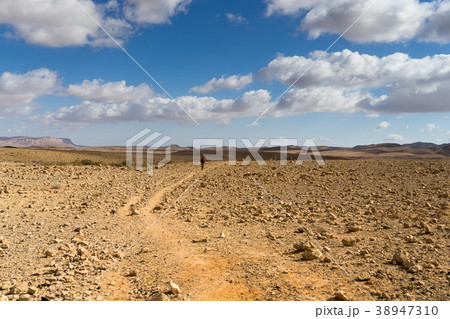 Trekking in Negev dramatic stone desert, Israel 38947310