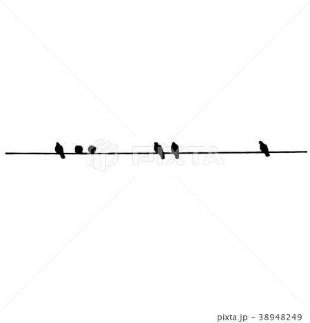 Pigeon silhouettes on the wire.Vector illustration 38948249