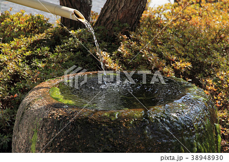 松本市　辰巳の湧水 38948930