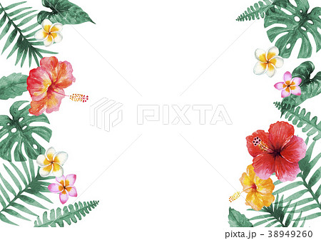 南国 植物 フレーム 水彩 イラストのイラスト素材 38949260 Pixta