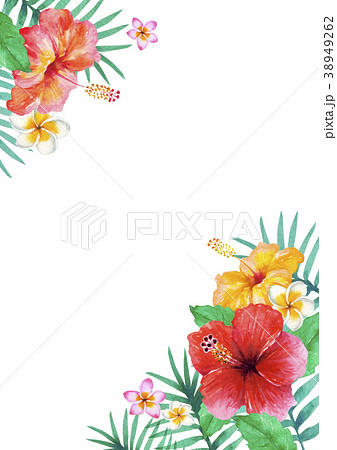 南国 植物 フレーム 水彩 イラストのイラスト素材