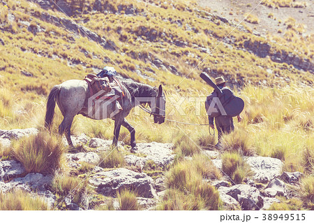 Caravan in Cordillera 38949515