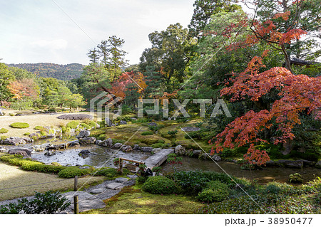 秋の無鄰庵 秋の無鄰庵 38950477