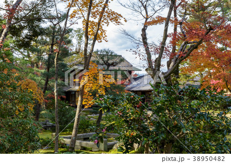 秋の無鄰庵 秋の無鄰庵 38950482