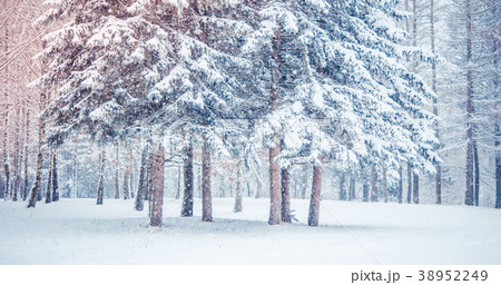 Fantastic Fairytale Magical Landscape View Fantastic Fairytale Magical Landscape View 38952249