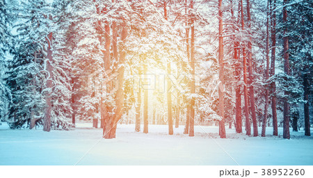 Fantastic Fairytale Magical Landscape View Fantastic Fairytale Magical Landscape View 38952260