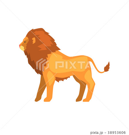 Powerful Lion Standing Wild Predatory Animal Sideのイラスト素材