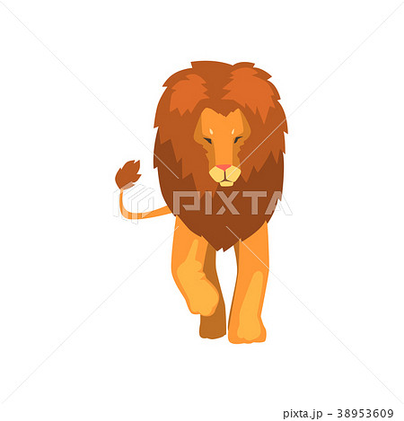 Powerful Lion Wild Predatory Animal Front Viewのイラスト素材