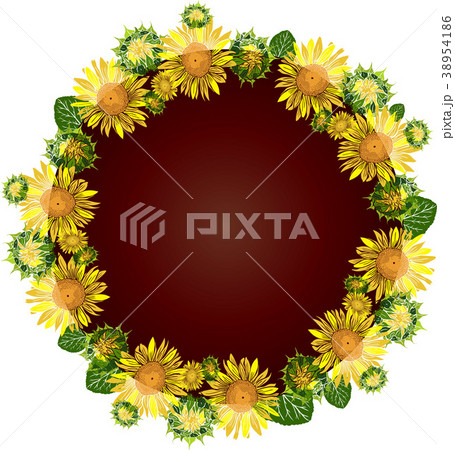 wreath of yellow blossoming sunflowers 38954186