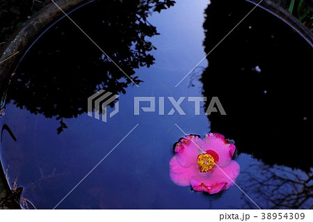 諸行無常 38954309