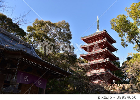 【四国八十八ヶ所】第三十一番 竹林寺 大師堂と五重塔と春の朝の青空 高知県高知市 【四国八十八ヶ所】第三十一番 竹林寺 大師堂と五重塔と春の朝の青空 高知県高知市 38954650