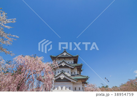 移転後の弘前城の天守の風景 移転後の弘前城の天守の風景 38954759