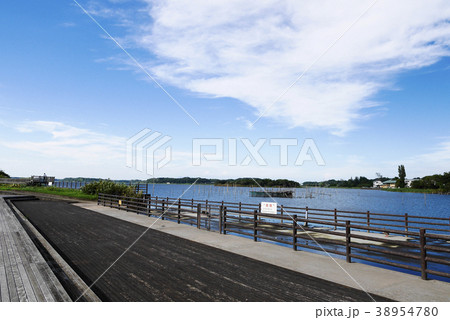 茨城 茨城 38954780