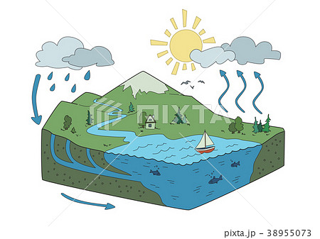 Vector schematic representation of the water cycle Vector schematic representation of the water cycle 38955073