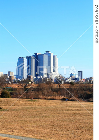 名古屋市　都市風景 庄内川河川敷から名古屋駅方面の眺め 38955602