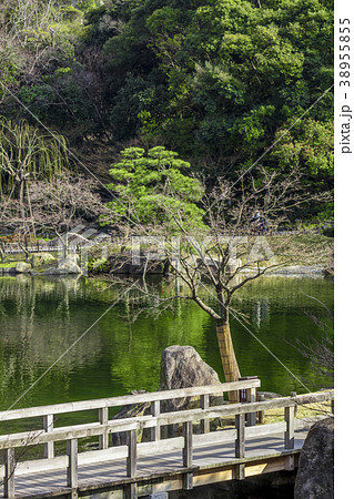 愛知県　名古屋市　徳川園 38955855