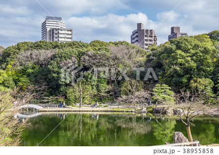 愛知県 名古屋市 徳川園 愛知県 名古屋市 徳川園 38955858