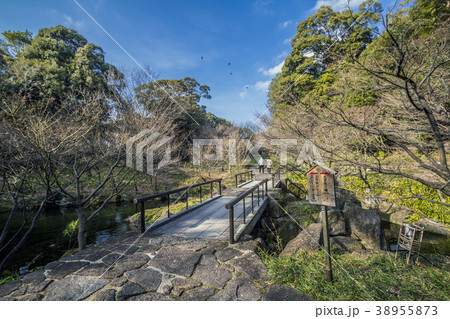 愛知県　名古屋市　徳川園 38955873