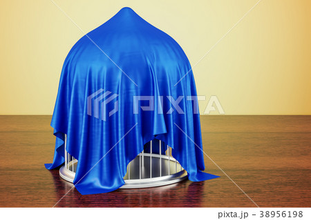 Silver bird cage covered blue cloth Silver bird cage covered blue cloth 38956198
