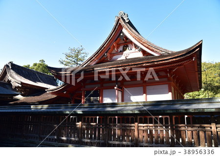 【土佐国一宮】土佐神社の社殿と青空　高知県高知市 38956336