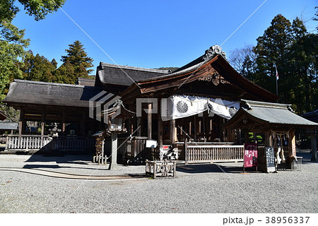 【土佐国一宮】土佐神社の拝殿と春の青空　高知県高知市 38956337