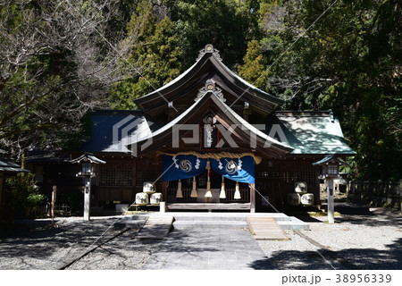 土佐若宮八幡宮の拝殿と春の日差し　高知県高知市 38956339