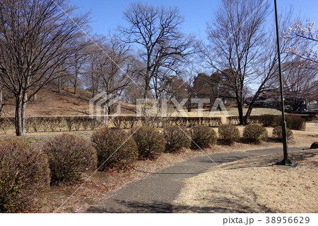 大室公園 大室公園 38956629