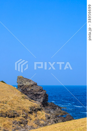 壱岐島 牧崎園地 微笑むゴリラ岩 【長崎県壱岐市】 壱岐島 牧崎園地 微笑むゴリラ岩 【長崎県壱岐市】 38956699