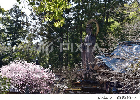 【四国八十八ヶ所】第三十五番 春の清滝寺境内の風景 高知県土佐市 【四国八十八ヶ所】第三十五番 春の清滝寺境内の風景 高知県土佐市 38956847