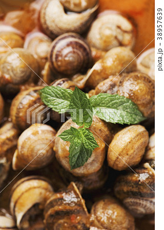 spanish caracoles en salsa, cooked snails in sauce 38957639