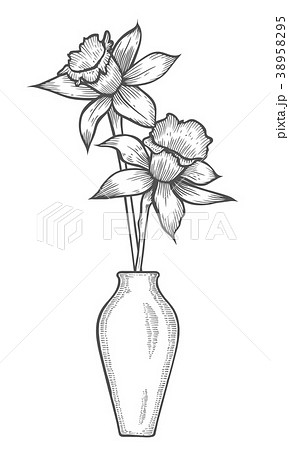 Daffodil illustration, drawing Daffodil illustration, drawing 38958295