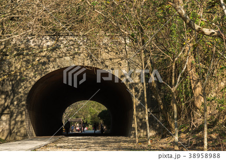 景色 風景 台湾 38958988
