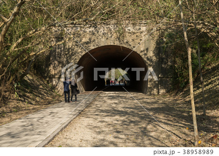 景色 風景 台湾 38958989