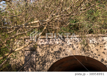 景色 風景 台湾 38958991