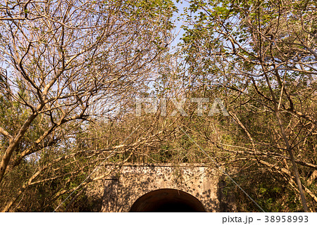 景色 風景 台湾 38958993