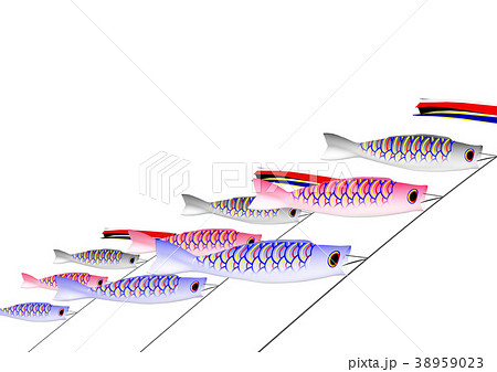 鯉のぼり 吹流し 真鯉 緋鯉 子鯉 白バックのイラスト素材