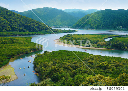 奄美大島 マングローブ原生林 奄美大島 マングローブ原生林 38959301