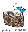 bird on a tree log 38961383